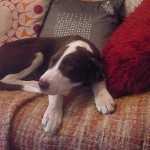 baby coco4